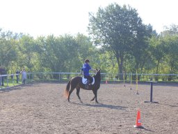 img_0209_web